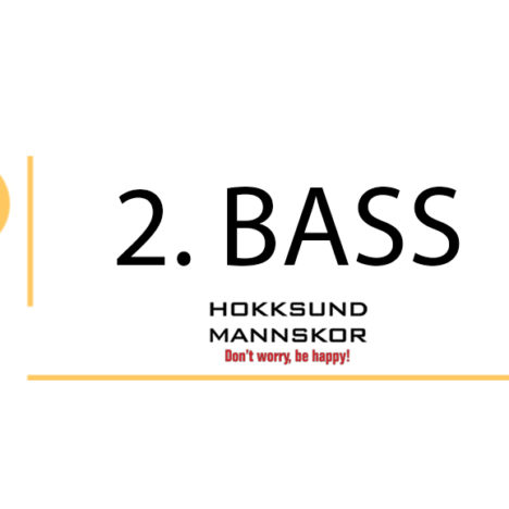 1. Bass